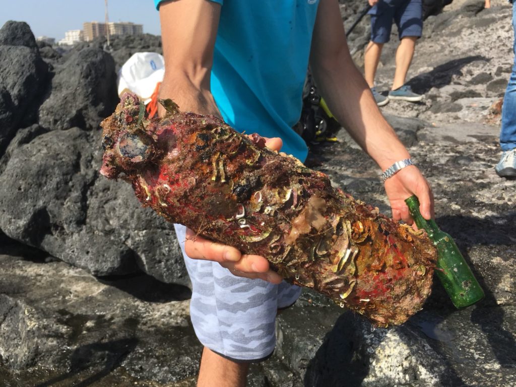 plastica mare mediterraneo inquinamento wwf