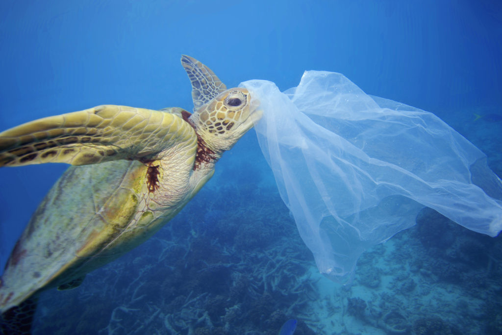 plastica mare mediterraneo inquinamento wwf