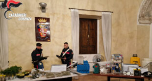 castrovillari marijuana carabinieri
