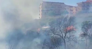 scalea incendio