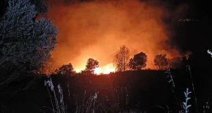incendi tirreno cosentino santa domenica talao